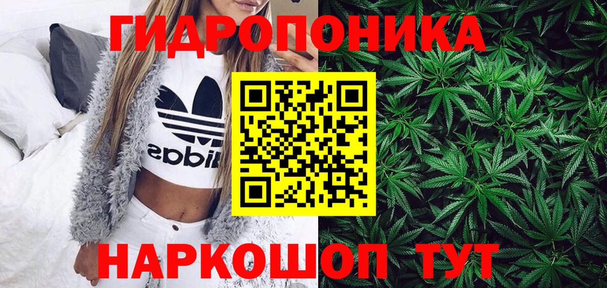 Шишки марихуана планчик Лянтор